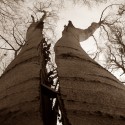 Ukážka z obrázkov v albume rozprávka o strome