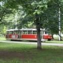 V Prahe chodia elektricky aj po trave ;-)