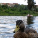 Kacenka =) 