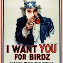Nový námet na hlavnú stránku Birdzu