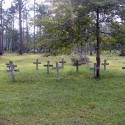 grave yard in the middle of the forgotten forest