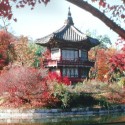 japonsko, to je len odfotený plagát pre vašu info