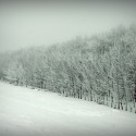 Ukážka z obrázkov v albume .. Winter ..