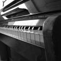 Klavír (na ZUŠ-ke sv. Cecílie)