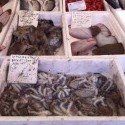 Vôňa čerstvých rýb na benátskom trhu. ❤    ⦾⧼     ⦾⧼