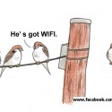 Vrabčák má WiFi. ;)