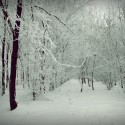 Ukážka z obrázkov v albume .. Winter ..