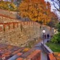 Jesenná I.