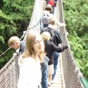 Na moste ponad vodopády a roklinu