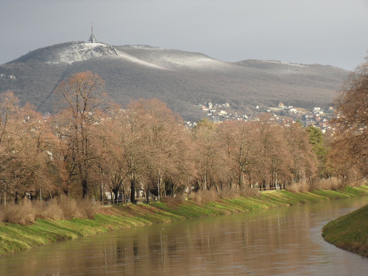 Nitra 2016- začiatok februára