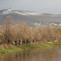 Nitra 2016- začiatok februára