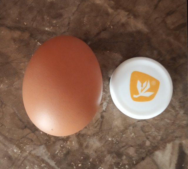 Mini vajíčko 
