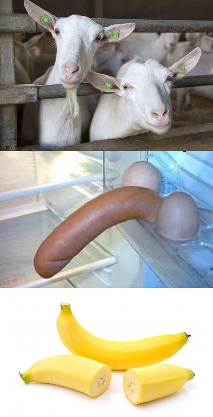 Recept na ukončenie birdz života :(
