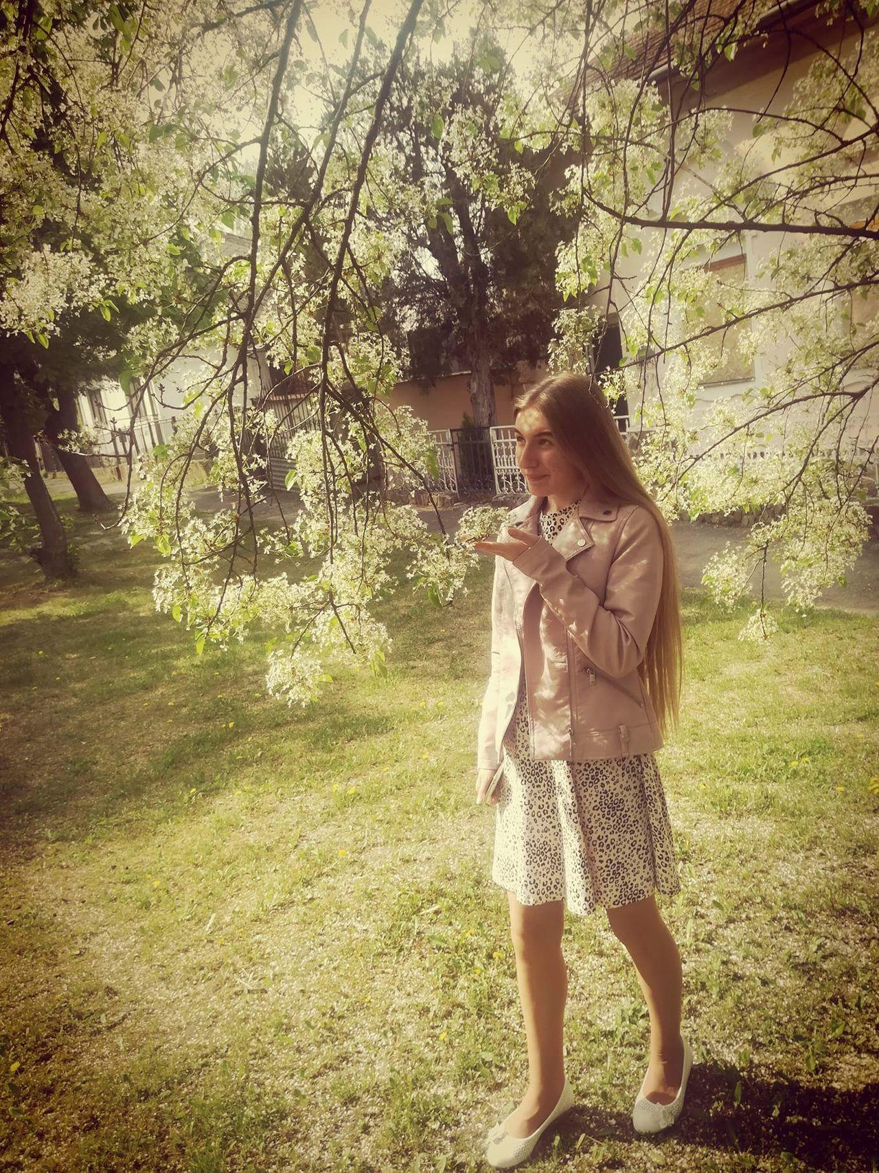 Obrázok bez popisu č.1052382