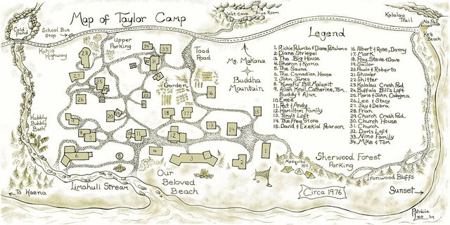 Hiippies camp