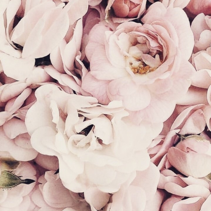 Obrázok bez popisu č.1051239