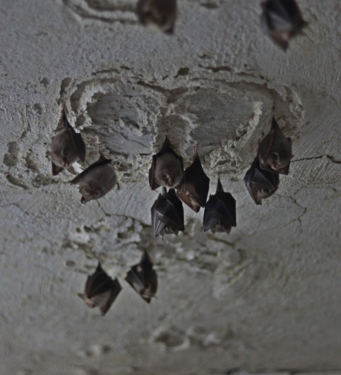 Abstrakt-ove piere 2