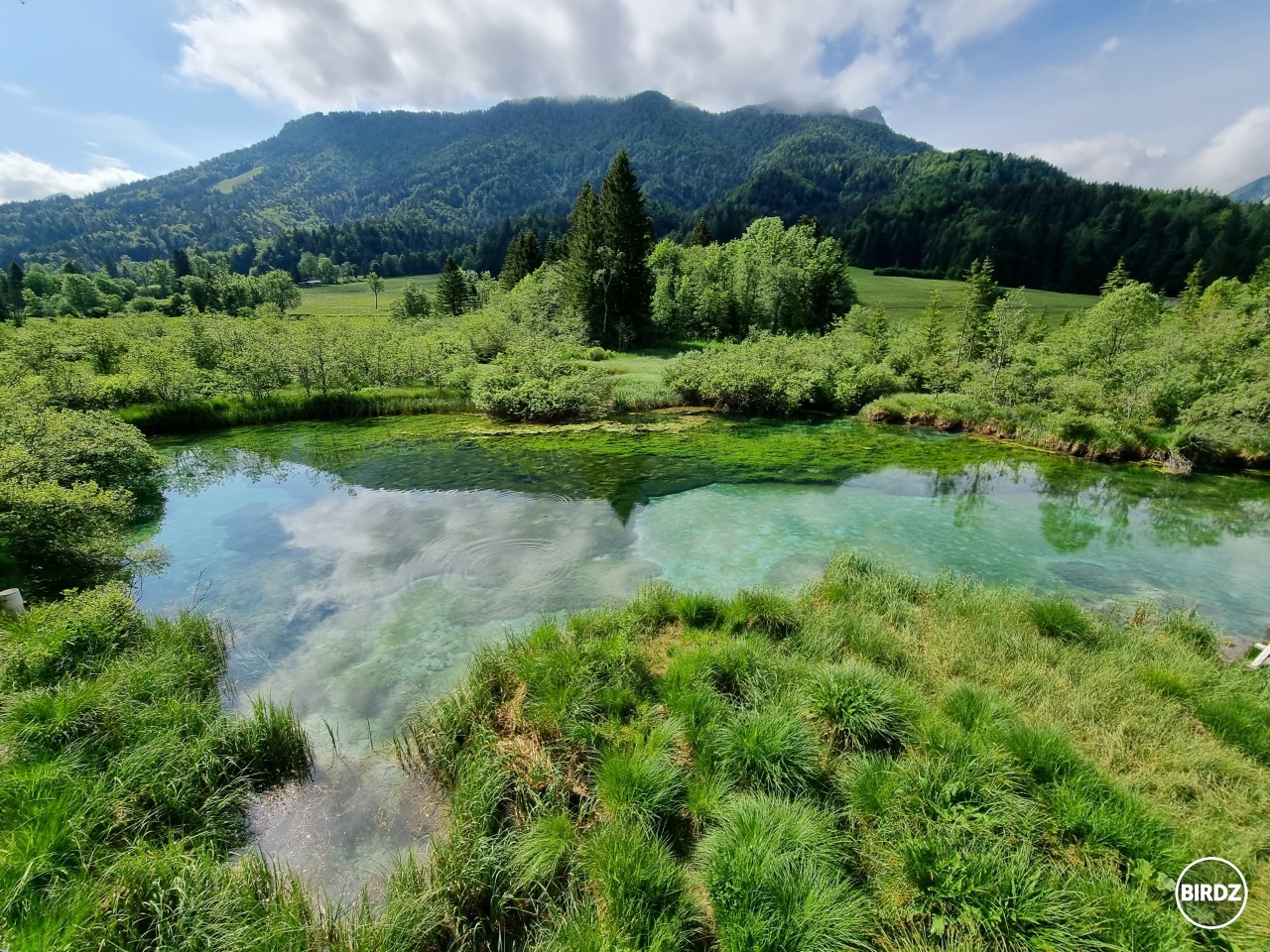 Zelenci -Slovinsko 