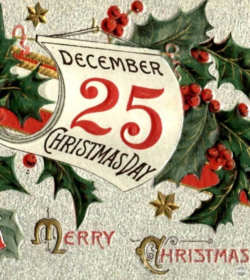 Pekny Christmas Day! Aby ste vedeli, ze dnes su Vianoce, a nie 24. decembra ako si vsetci myslia a oslavuju ich v nespravny den.