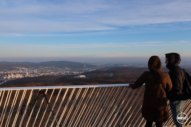 Bratislava z Devínskej Kobyly