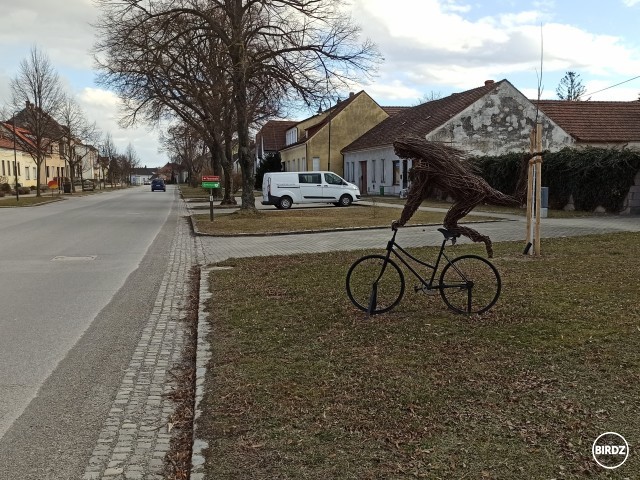v Oberweidne majú takúto cyklistku z prútia