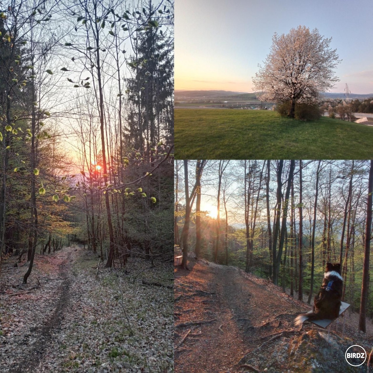 Tento mesiac som zabehol dokopy asi najviac za poslednych 10 rokov.. ako kombinacia trail - zapad slnka ma chytila :3