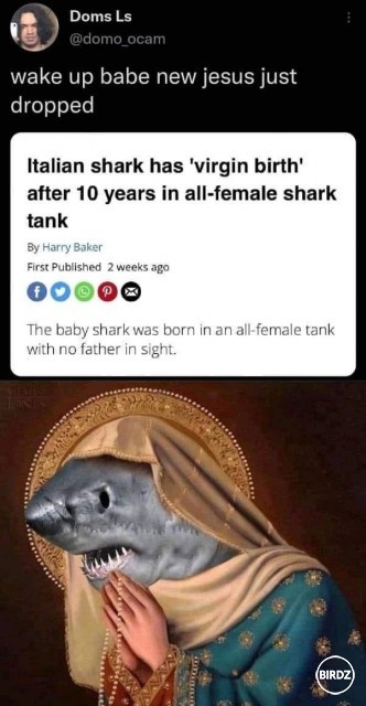 new savior,
saint Shark