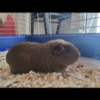 Byť kjut je niekedy náročné :D 