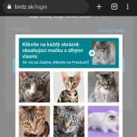 Ukážka z nezaradených obrázkov
