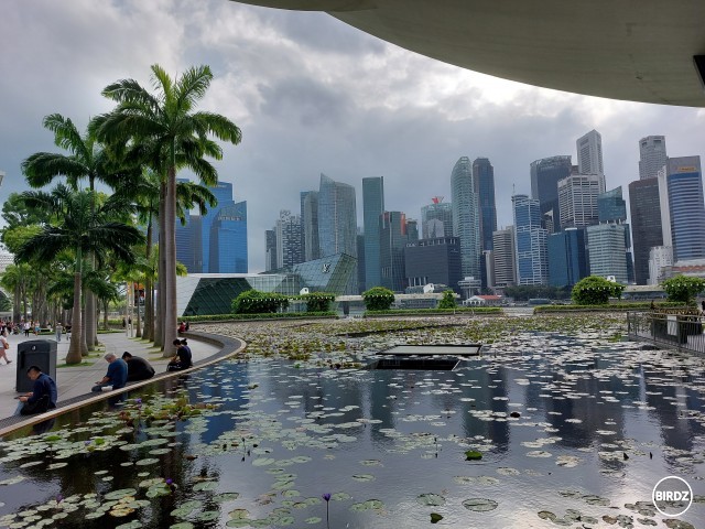 Packo, Singapur.