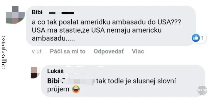 NA SLOVENSKU CHCEME LEN SLOVENSKE AMBASADY!!!! 