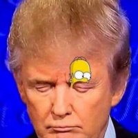 Simpsons predicted everything once again