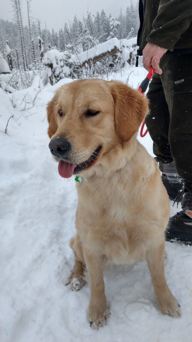 Ela sa bola dnes zoznámiť so snehom v Tatrách :D :) 