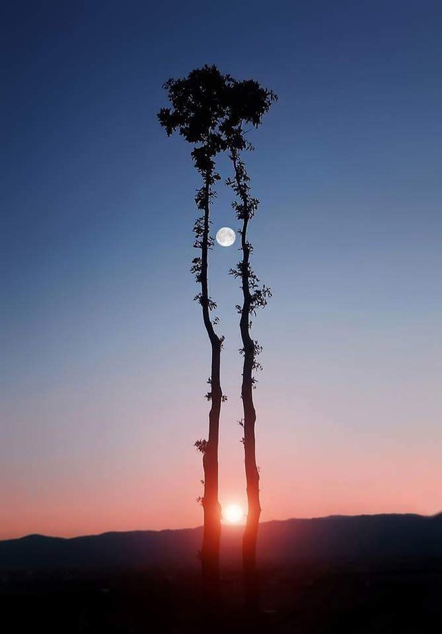 The Lamps are different, but the Light is the same.

~ Rumi
Image:  Bess Hamiti