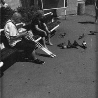 hlboké nádychy
spomienky
ulice
nemocnice 
ľudia predávajúci Nota bene
dôchodci kŕmiaci holuby 