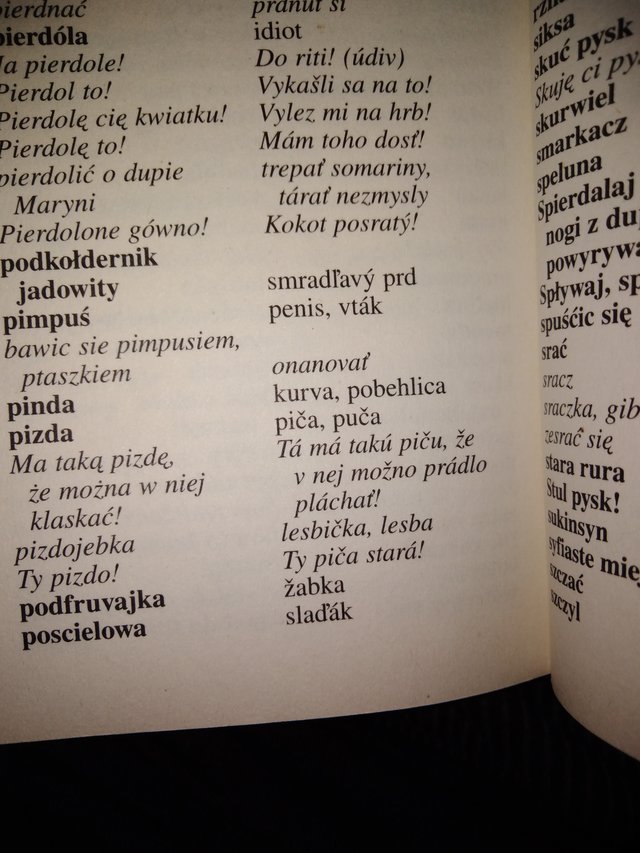 Poľský jazyk 