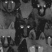endirewolf fotka