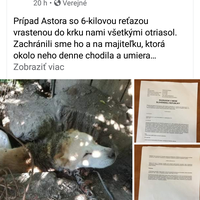 Chcela by som vás veľmi pekne poprosit aby ste podpísali túto petíciu co pridám pod obrázok jedna sa o to aby sa zakázali aby boli zvieratá zviazané  na reťazi.blizsie pod obrázkom. Niektorým zvieratám tento zákaz zachráni život 