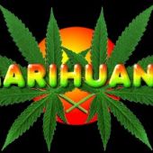 Marihuana