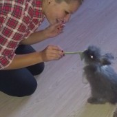  fotka
