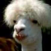 Emir0n