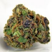 Kush