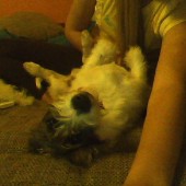  fotka