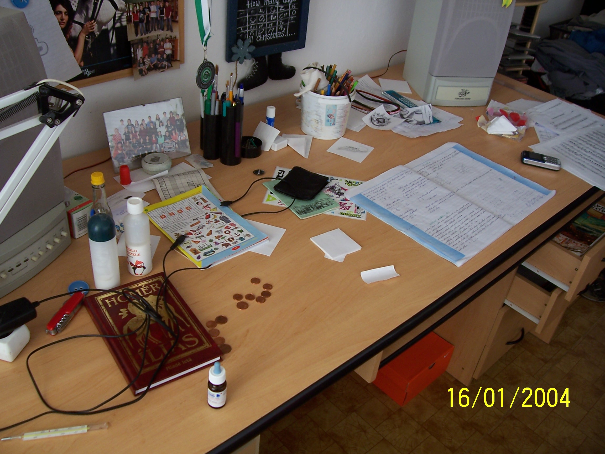 Organizovaný chaos