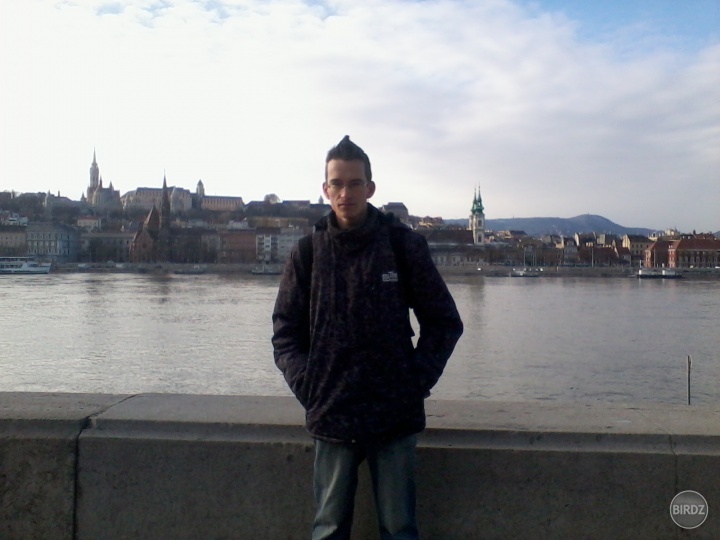 12.01.2013 Budapešť