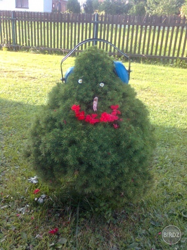 strange tree created L0L1 and Lucy