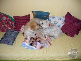 so. that´s LOVE :)