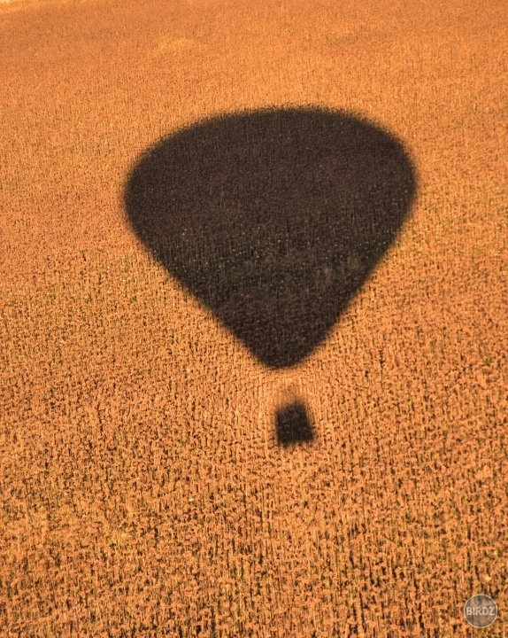 in the middle of the field (view out of the ballon!)