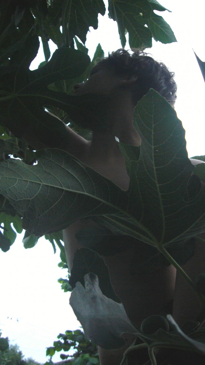  figforaging