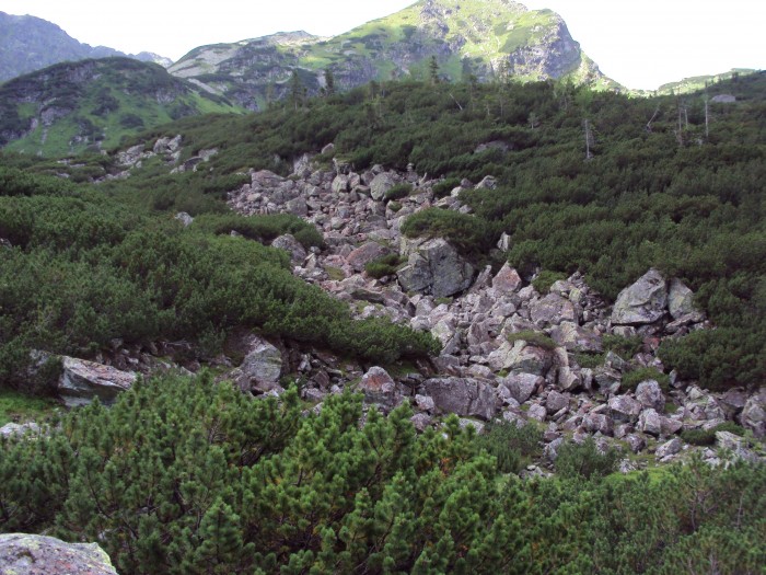 Obrázok